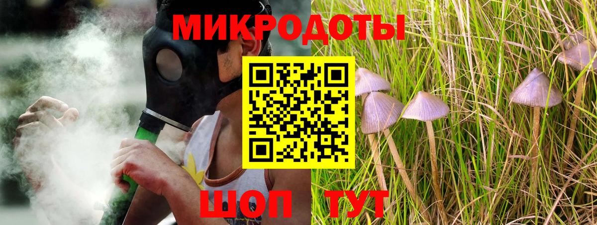 Псилоцибиновые грибы MAGIC MUSHROOMS  Вход с VPN  Калуга 